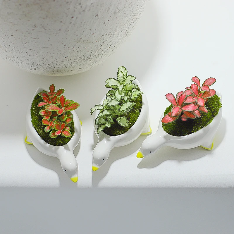 Novelty Flowerpot, Modern New Duck Shaped Ceramic Flower Pot, Table Lovely White Plant Pots