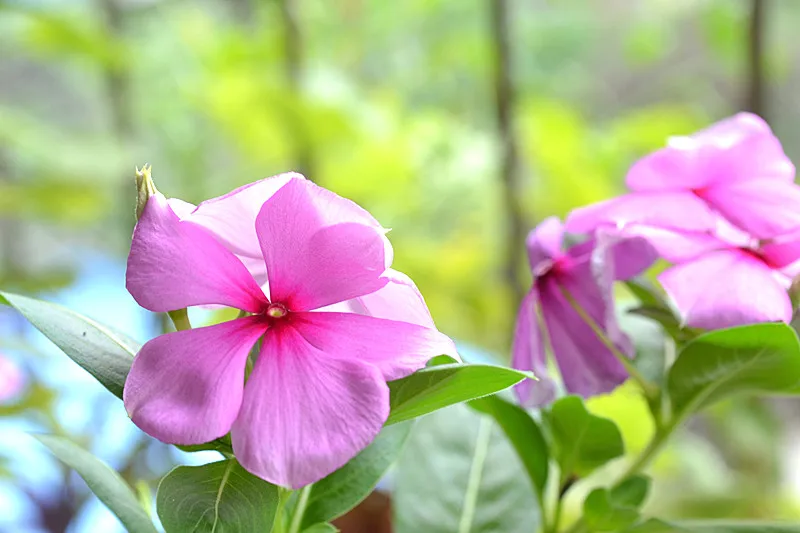 

Комплект металлических дисков RS RC 120 мм с бедлоком 1.9 дюйма и резиновыми шинами для радиоуправляемых краулеров 1/10: Trxs TRX4, RC4WD, D90, Axial SCX10 II III, MST