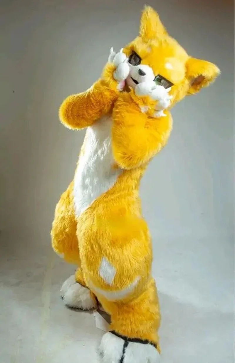 

Yellow Husky Fox Medium and Long Fur Mascot Costume Walking Halloween Christmas and Large Activity Set Cosplay