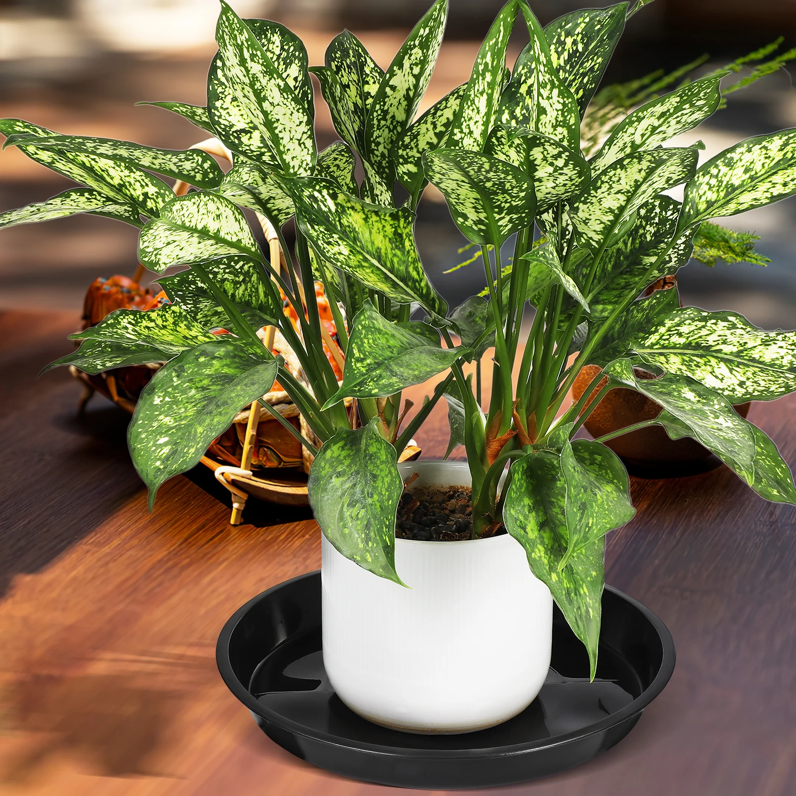 

10 pcs Black PB250 Flowerpot Trays Planters Bottom Pads Drainage Water Pots Smooth Surface Premium Material