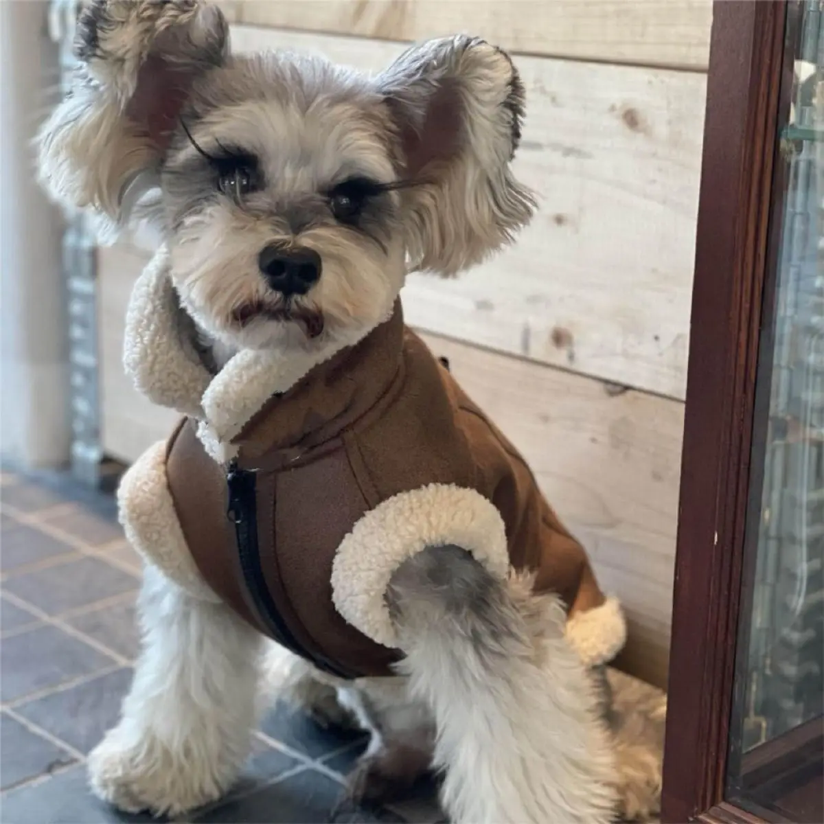 Pet Clothes with Plush Cotton Coat, Teddy Bear, Leather Vest, Teddy Bear