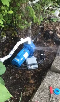 

Насосы GT15 IRRI-Gator, самовсасывающие, однофазные, центробежные, 1.5 л.с., синие, 22 дюйма (длина) x 9 дюймов (ширина) x 10 дюймов (высота), 230 В, 64 галлона в минуту