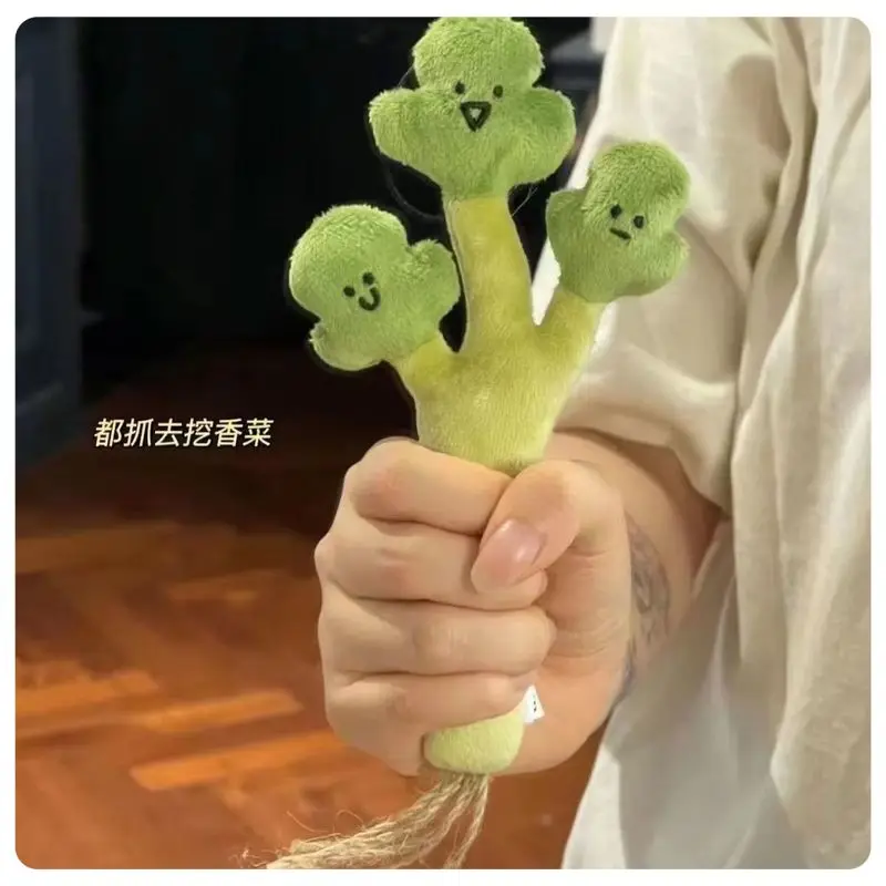 Schattige Cilantro pluche sleutelhanger Wereldwijd nieuw ontwerp Leuke hangende decoratie speelgoedpop voor rugzakken Grappige en zachte gevulde plant