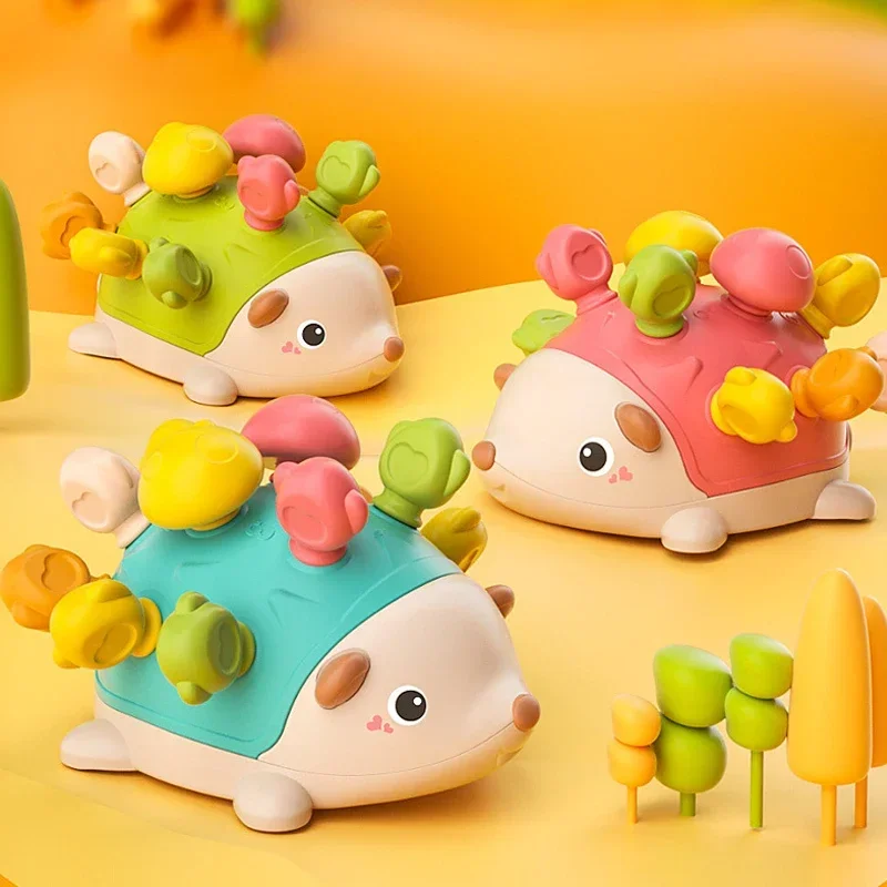 Egel Montessori Speelgoed Baby Concentratie Training Vroeg Onderwijs Speelgoed Fijne Motoriek en Zintuiglijk Speelgoed Spelling Kleine Egel