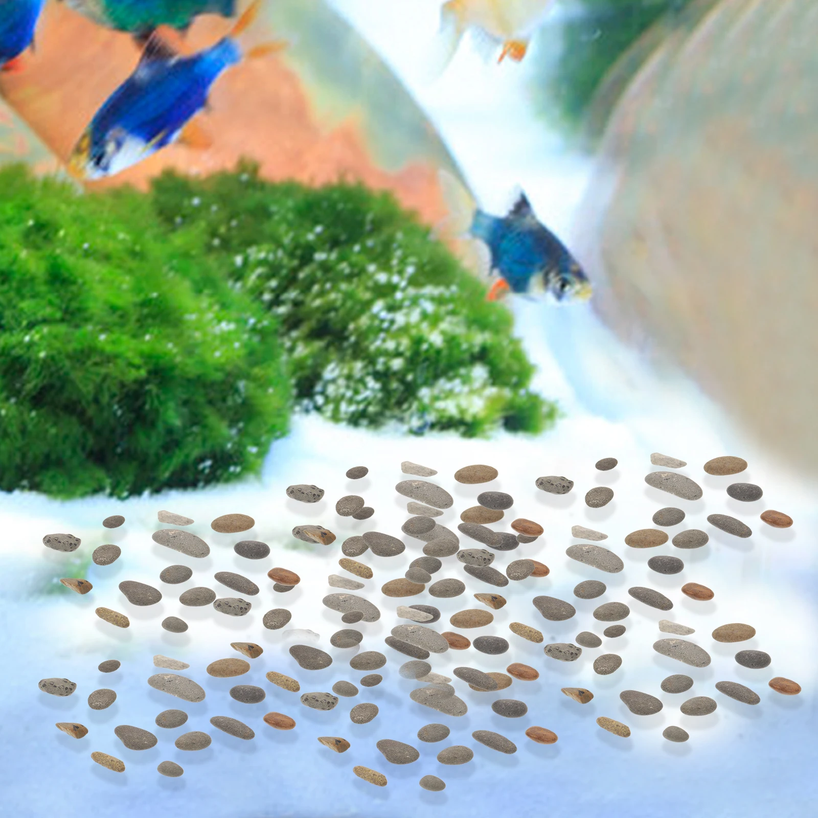 

1 Bag Natural Decorative Stones Microlandscape Sand Table Basing Rock Ornament Fish Tank Garden Layout Diorama Stone Material