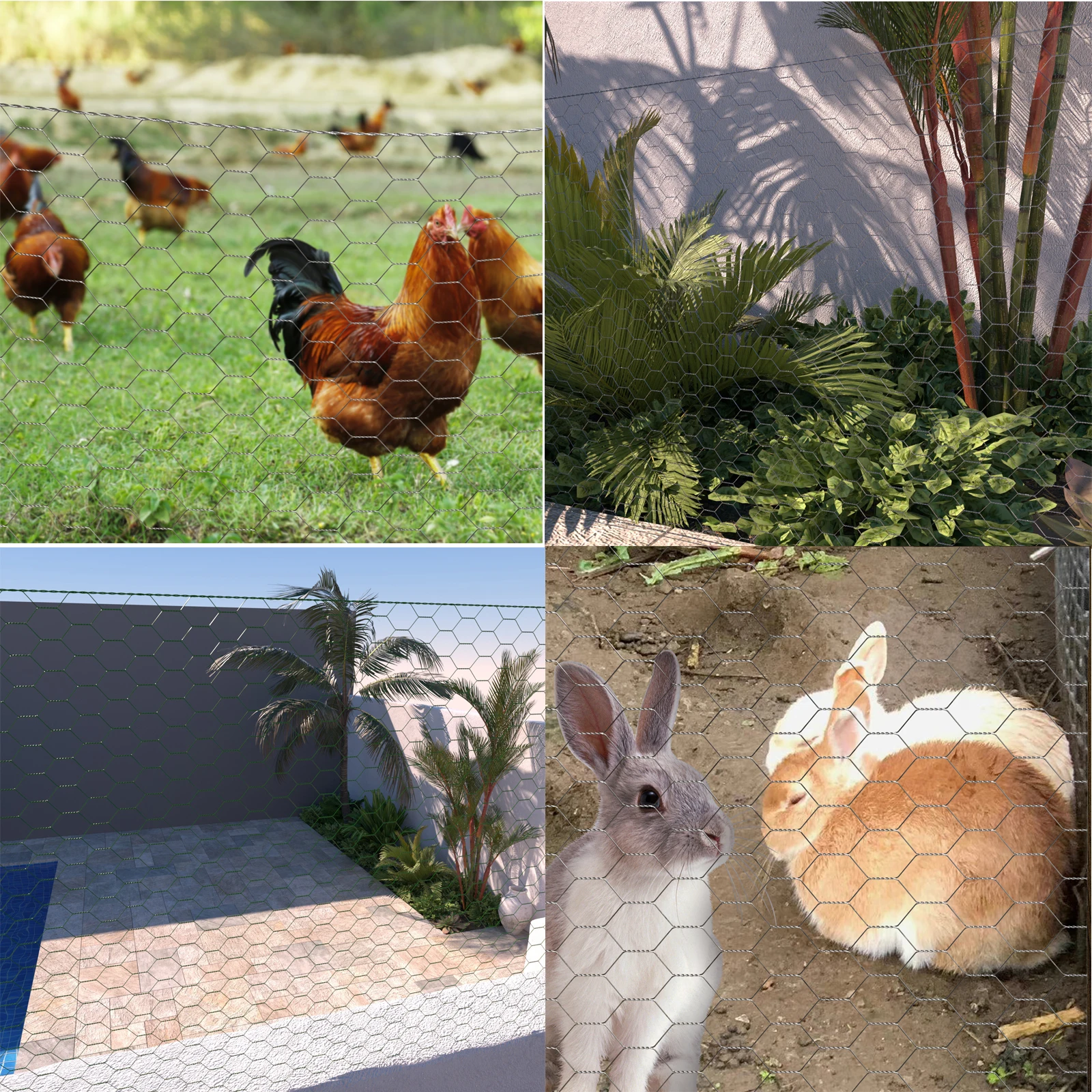 لفة شبكية سلكية لشبكة الدجاج، شبكة سلك دجاج سداسية مجلفنة 60 سم × 5 م لمزرعة فناء الحديقة، فتحة 25 مم، سهلة القطع #6