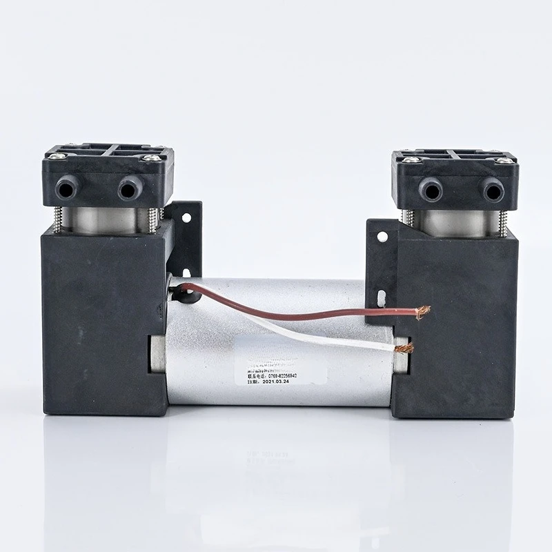 

4402PM-2 Double Head Pump Piston Pump Micro Air Pump Small Pumping Large Flow