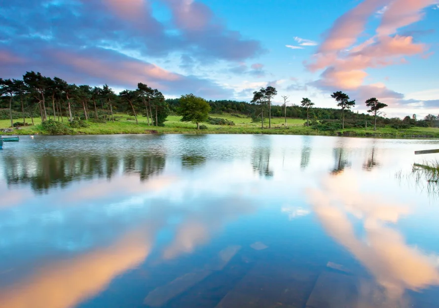 

UD1001SE V2 RC Багги - 4WD Rock Crawler Вездеход, бесщеточный двигатель ESC Сервопривод Автомобиль с радиоуправлением