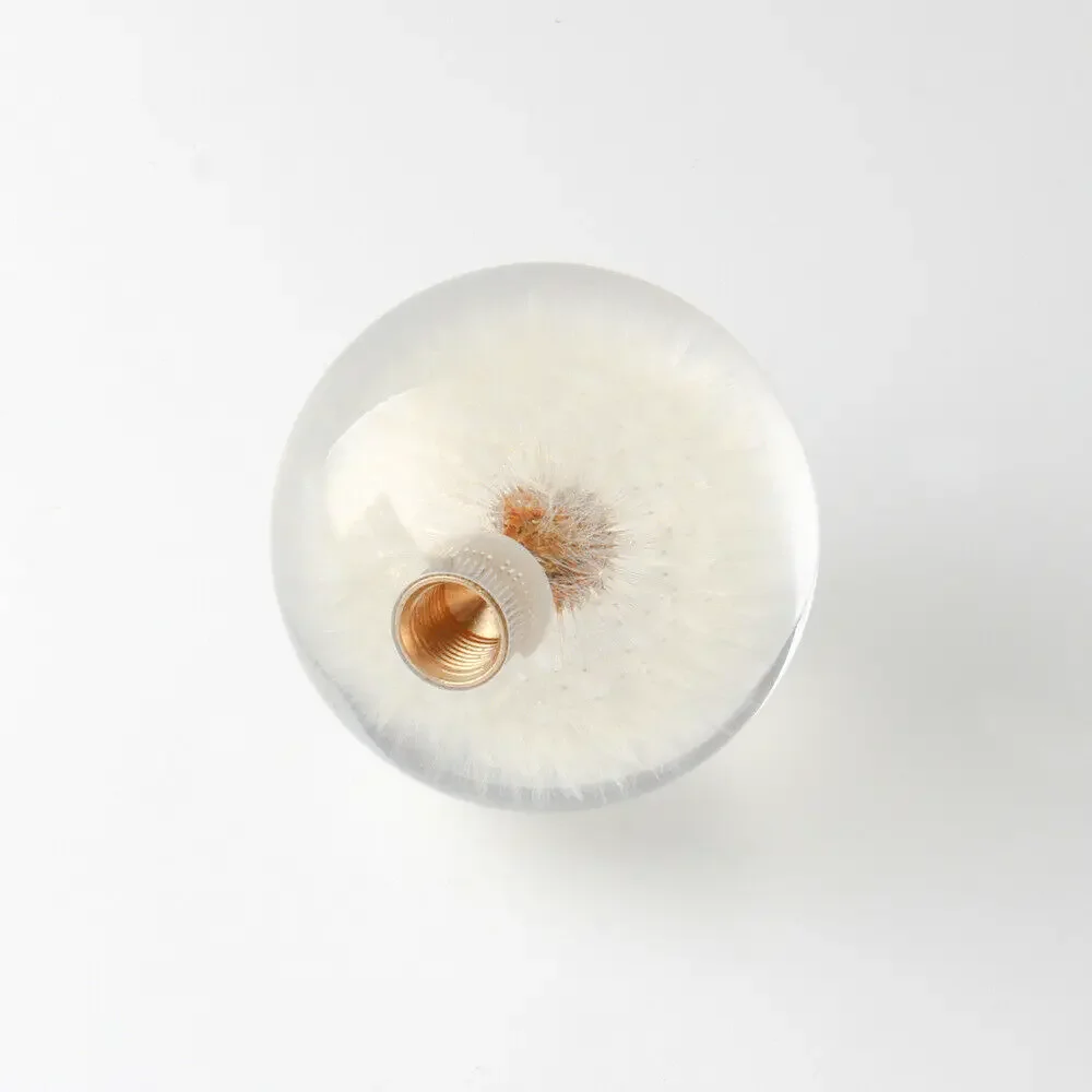 Universal 70MM/54MM Racing Crystal Ball Dandelion Real Flowers Gear Shift Knob Head Transparent DIY