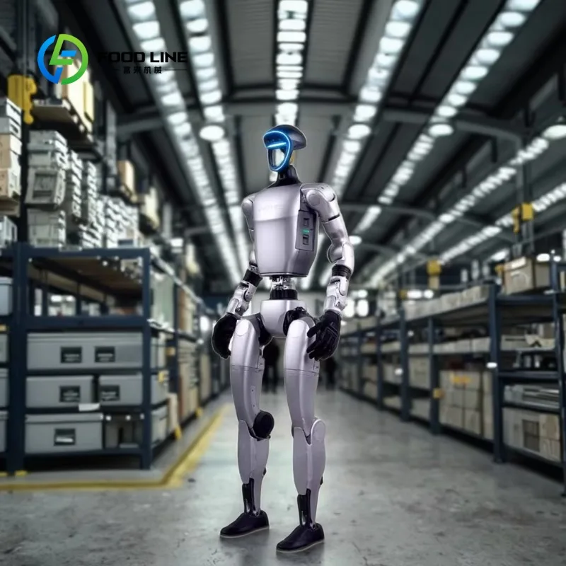 Customized Programmable Humanoid Robot with AI Interaction Capabilities for Commercial and Educational Settings
