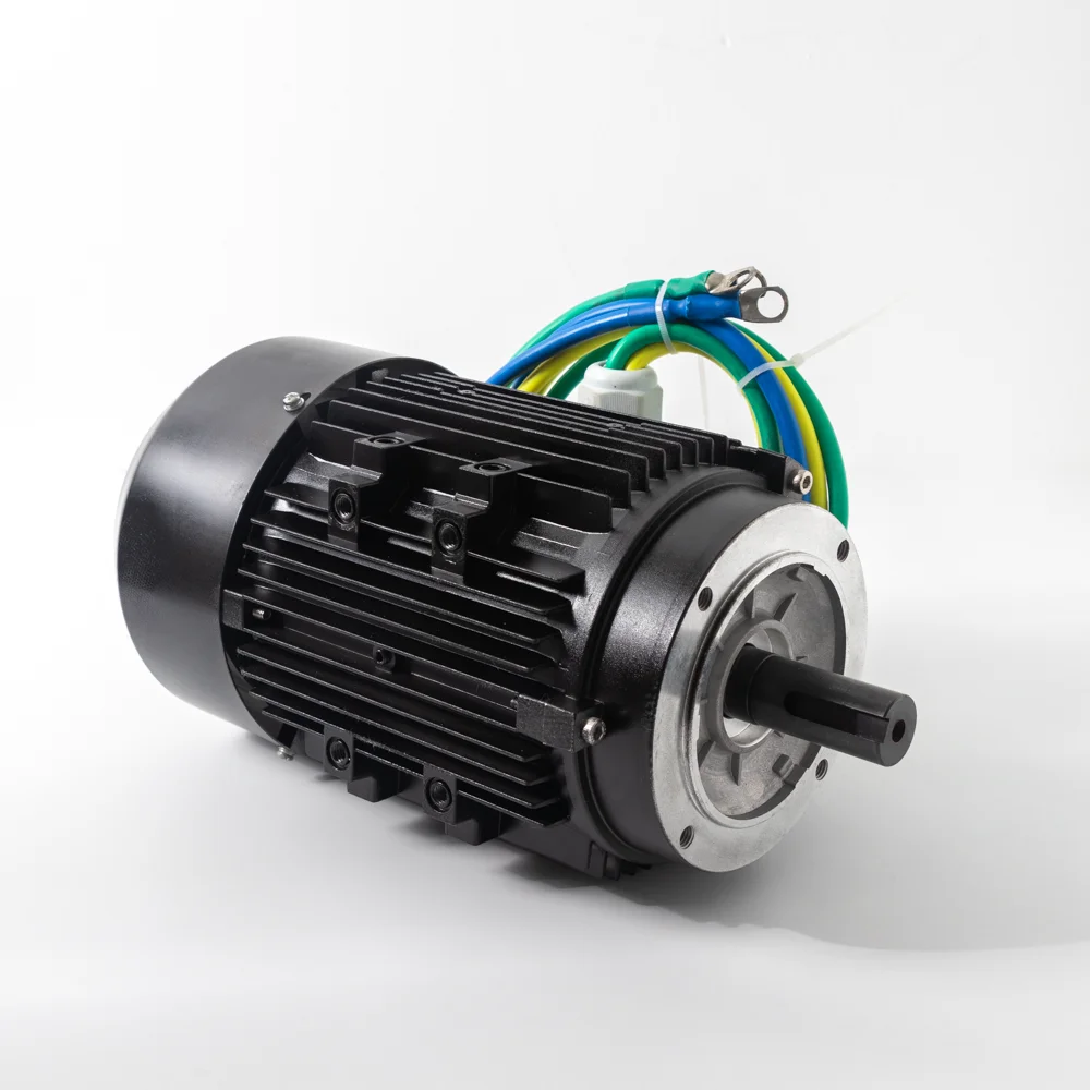 customized high performance 230V AC 4.5kw B14 PM brushless dc motor