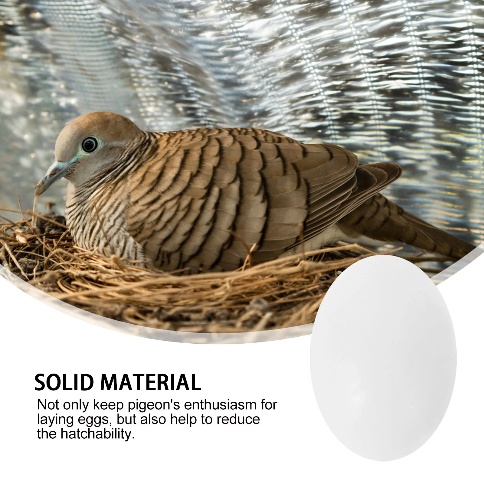 

30Pcs Simulation Solid Plastic Pigeon Eggs Realistic Weighted Durable Trick Birds Stop Egg Laying Increase Survival
