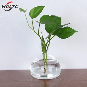 مزهرية زجاجية شفافة لزراعة النباتات ، بادئ بذور الأفوكادو ، مجموعة لمحبي البستنة ، 1 قطعة أفضل 6 مزهريات مقبرة مبيعا - رقم 6