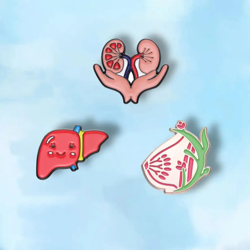 Breasts Kidney Liver Enamel Pins Custom Organs Brooches Lapel Badges Biology Anatomy Medical Jewelry Gift for Kids Friends