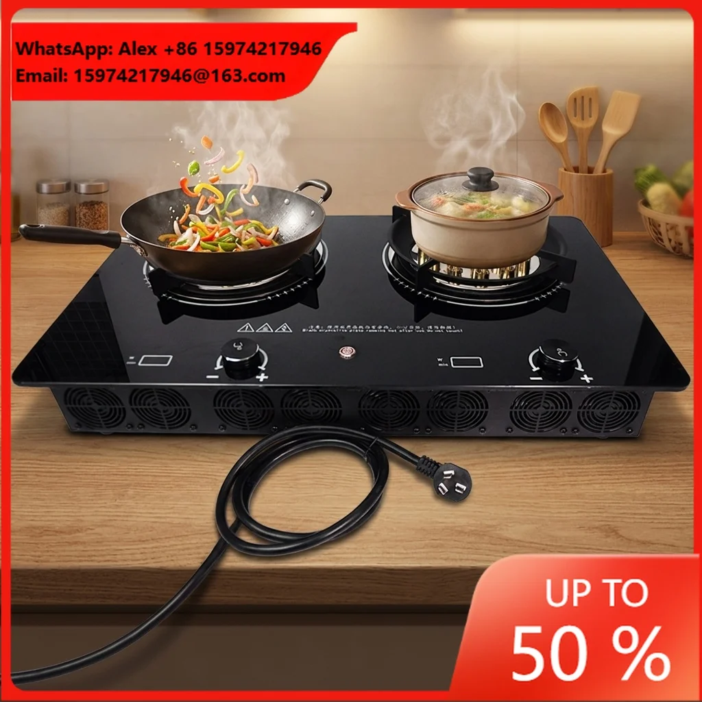 Double Burner Plasma Electric Open Flame Stove Gasless High Temp Real Fire Glass Surface Stainless Steel Outdoor RV Household