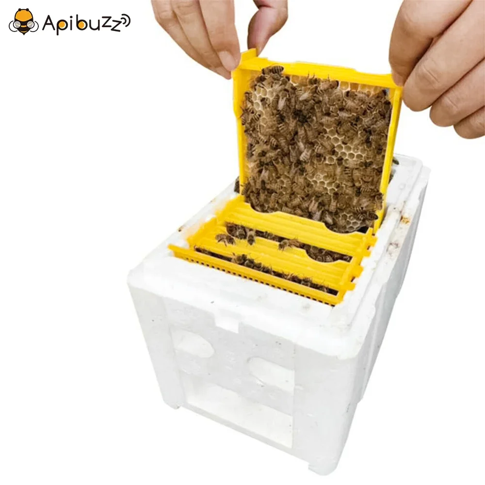 EPS Mini Mating Nuc - Polystyrene Nuc box, Apiculture bee keeping, Bees Tools,Honey Bee Nucs - Nucleus Bee Hive - view 4