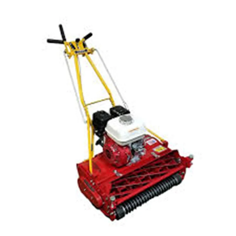 

McLane 20" Reel Mower - 5.50GT Engine, 10-Blade, Greens Keeper, Discount Sales​