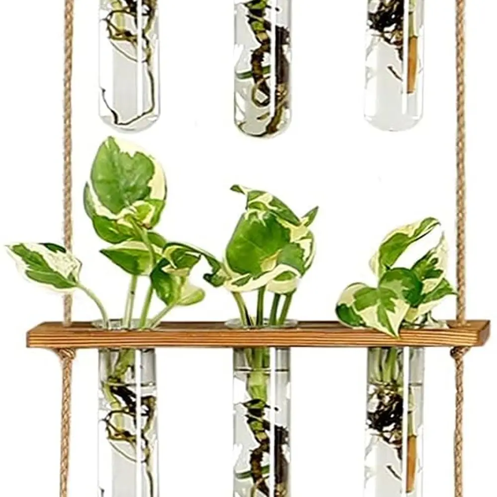 

Wall Hanging Propagation Station with Wooden Stand Glass Test Tubes Tiered Planters Wall Terrarium for Home Office Plant Hanger