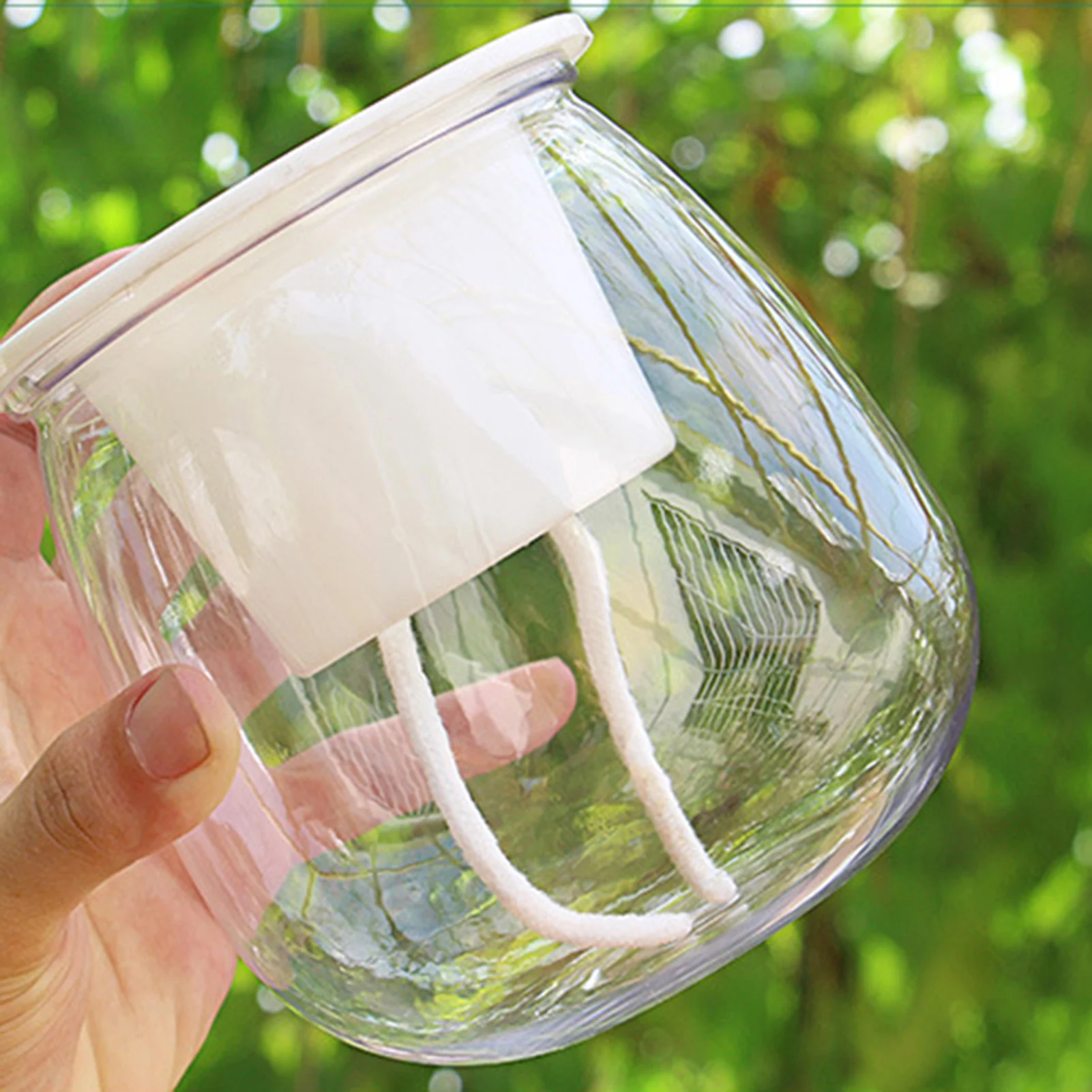 Mini Round Succulent Plant Pot Spherical Transparent Pet Flower Pot for Spider Plant Herbs Aloe Peace Lily