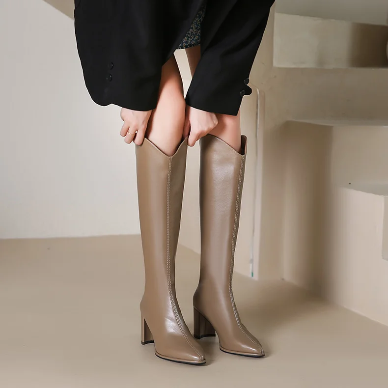 Large Size Women's Boots 41 to 43 Long Tube Autumn New High Heel Pointed Toe Booties White Thick Heel Fleece Lined Knight Boots