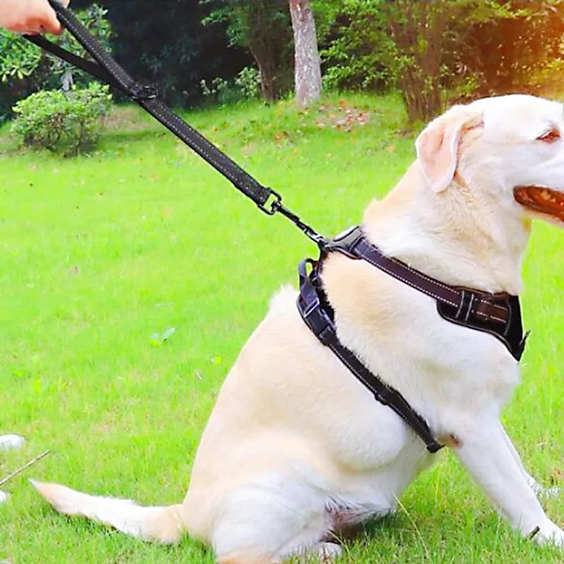 Dog Leash Short Dogs Leash 60cm Pet Chain Comfortable Handle Dogs Leashes Reflective Leashes for Dog Walking Pet Accessories
