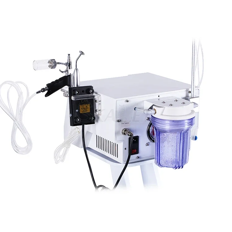 Hottest Skin Treatment Procedure Face Cleaning Oxygen Jet Peel Machine Removing Freckles Face Care for Home Use