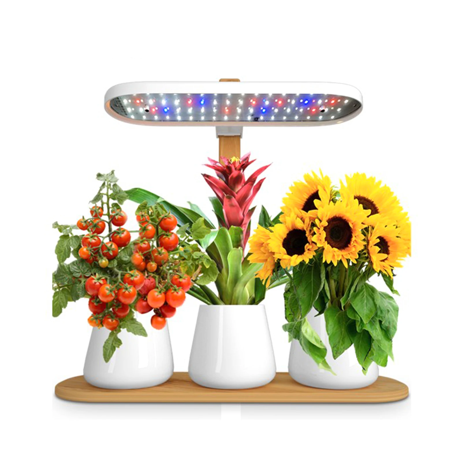 Linterna para crecimiento de plantas, brillo de altura ajustable, 30W, 12V, 900lm, lámparas LED de crecimiento para suculentas, verduras de invernadero