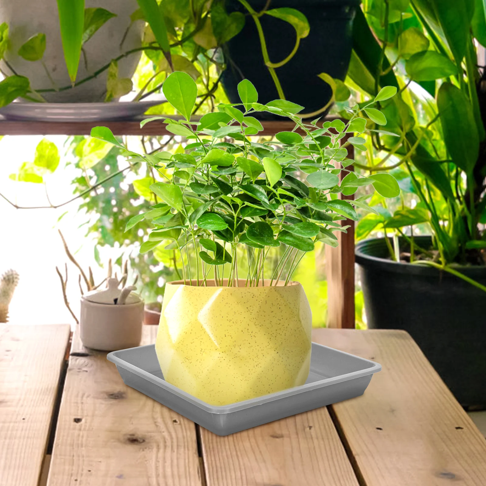 

Square Plastic Flowerpot Bases Lightweight ABS Material Gardening Trays Plant Pots Indoor Prevent Leakage Reusable Practical