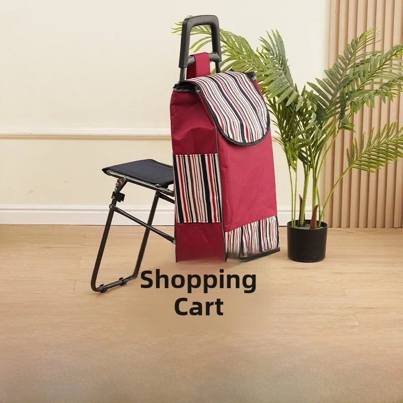 caddie-de-courses-grande-capacite-avec-roues-pour-monter-les-escaliers-en-plastique-et-acier-inoxydable-portable-pour-personnes-agees