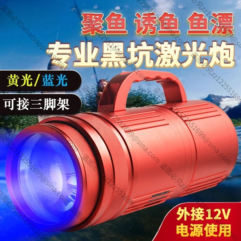 Suitable for 12V Black Pit Night Fishing Light Accessories, Remote Control 500W Yellow and Blue Double Light Adjustable Led Boat