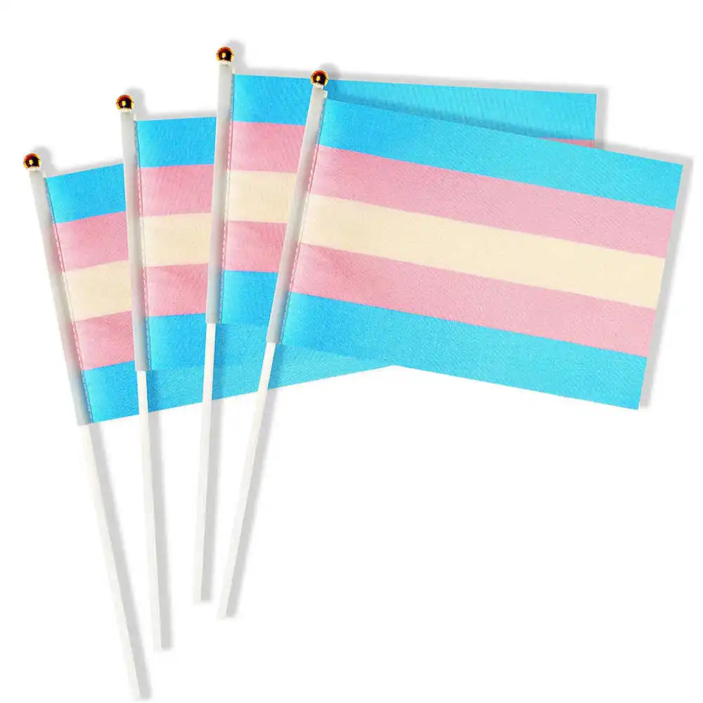 10 Pack Transgender Flag LGBT Trans Pride 14x21cm Mini HandHeld Rainbow Flags Plastic Flagpoles Home Party Decoration Parades