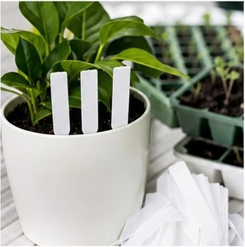 1000Pcs Reusable Garden Plant Tags Weather Resistant Bright Color Labels for Nursery Botanical Garden Plant Management