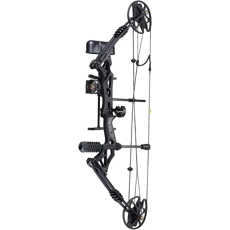 

1 Set Archery 35-60 lbs Compound Bow 16-31inch Draw Length Let-0ff 80% Continuous Adjustment Hunting Bow Sports