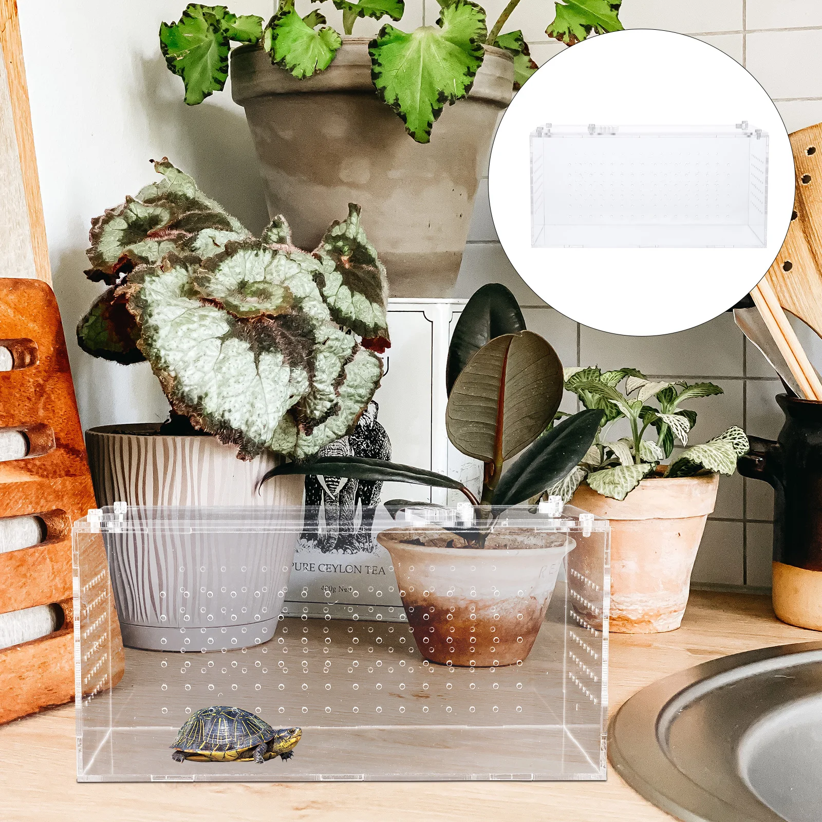 

Reptile Terrarium Box Transparent Acrylic Ventilative Design For Spider Lizard Turtle Frog Snake Feeding Household Cage