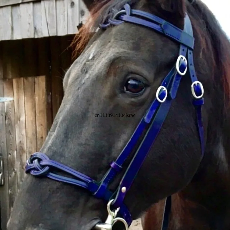 Fashion PU Leather Horse Halter European‑American Equestrian Gear Metal Fitting Adjustable Horse Headcollar Training Equipment
