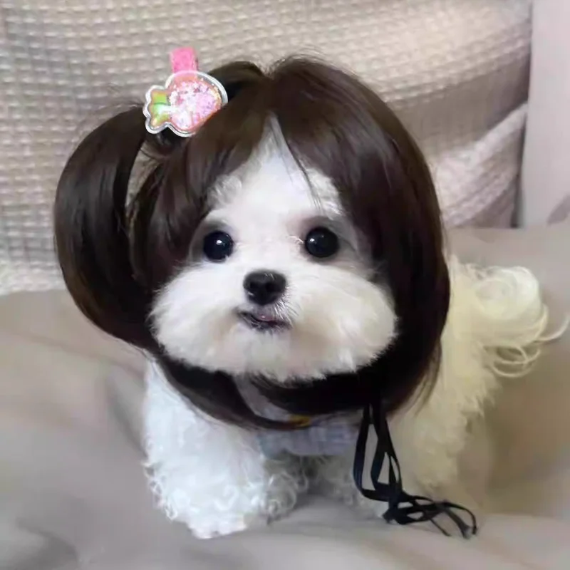 Pet Wig Dog Wig Cosplay Props Curly Hair Straight Hair Pet Supplies Creative Photography Funny Prank Gifts Cat Puppy 7-color