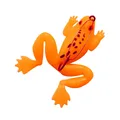 Orange 5pc
