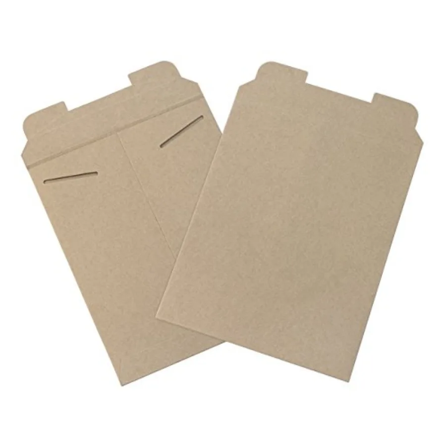 

AVIDITI Shipping Mailer Envelopes 9 3/4"L x 12"W 100-Pack Flat Thin Stayflat Mailers for Packing Shipping and Storage