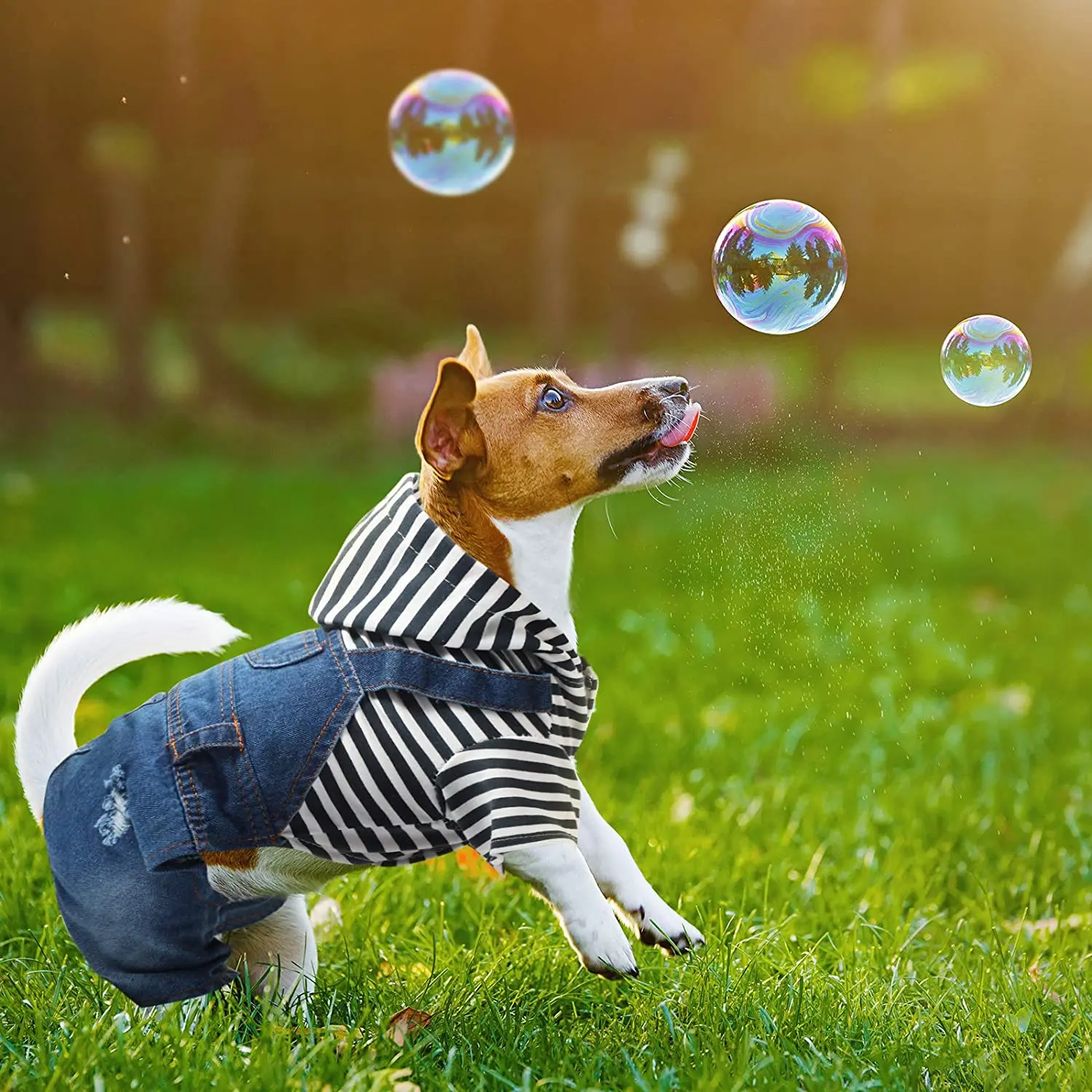 Dog Denim Jumpsuits Striped Plaid Puppy Cat Hoodie Overalls Yorkie French Bulldog Clothes Jean Jacket Pet Outfits for Small Dogs