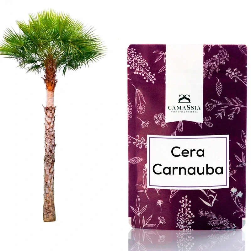 Camassia Cera de carnauba (T1) | Mantecas y ceras para cosmética | Calidad T1 para elaborar barras labiales y lapices de ojos