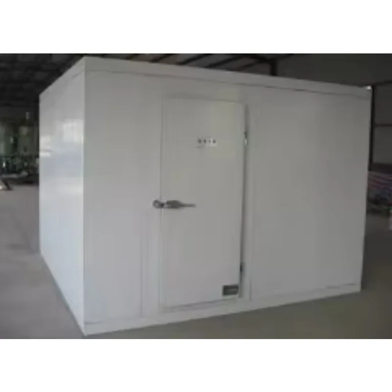 2026 New FL Wholesale Cold Room Walk in Cooler Cold Storage for Keep Fresh Fruits /vegetables /fish/transportation Customized