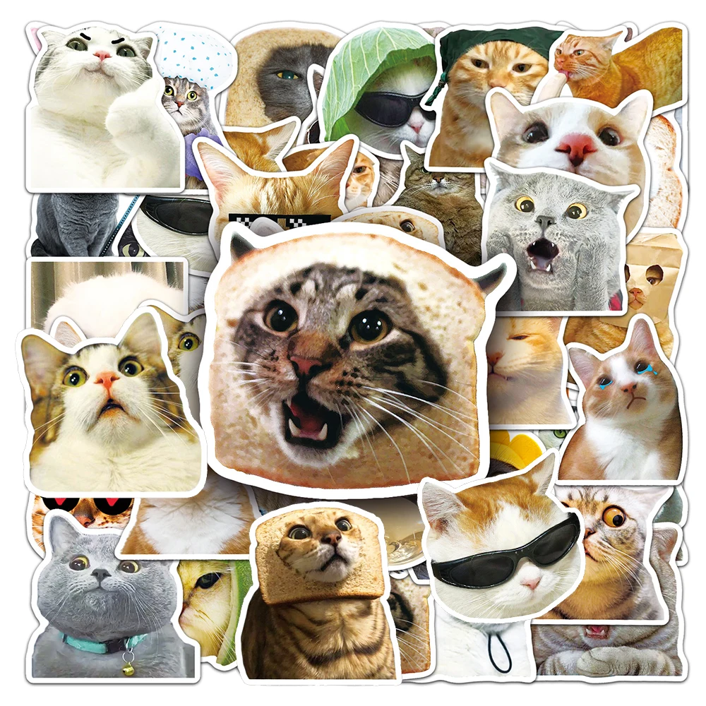 

10/30/50pcs Cute Cat Meme Aesthetics Stickers for Notebook Laptop Skateboard Suitcase Luggage Car Motorcycle Decal Sticker Pack