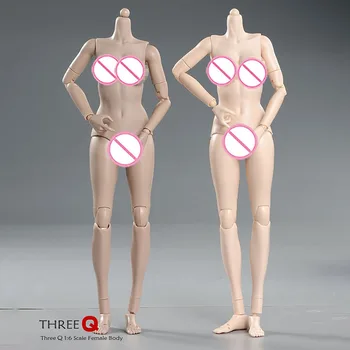 1/6 נשי שיזוף לבן חצי סיליקון משותף גוף 12 