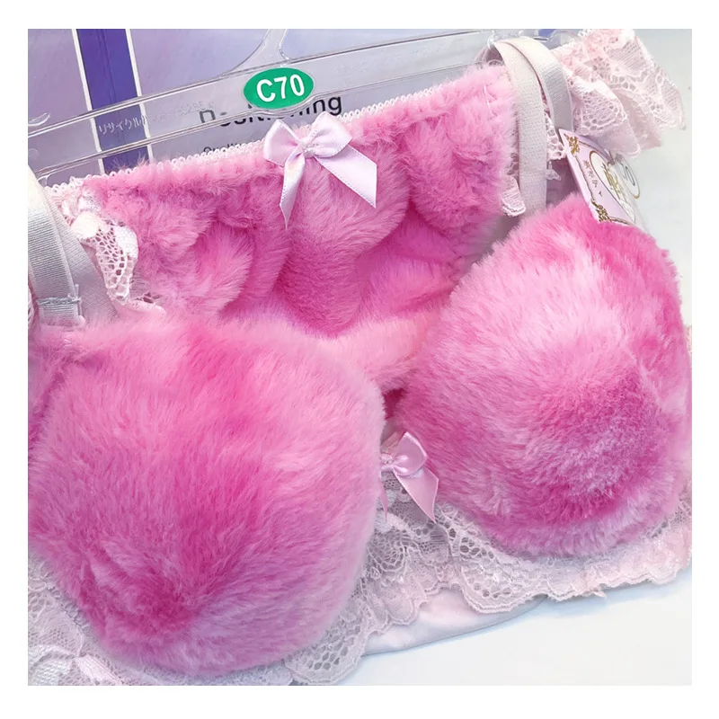 Lace embroidery bras sexy non-steel ring underwear comfortable adjustable bra set up women's breathable lingerie