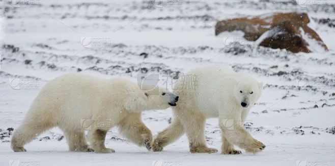 

RC Car Front and Rear Wheel Rims Tractor Trailer Wheel Hubs for 1/14 Tamiya Tractor Truck Climbing Trailer Cargo Car