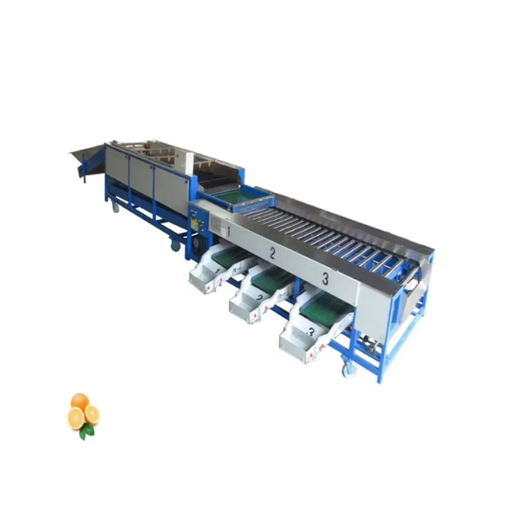 Sorting Machines for Fruits Dates Size Washing Grading Grader