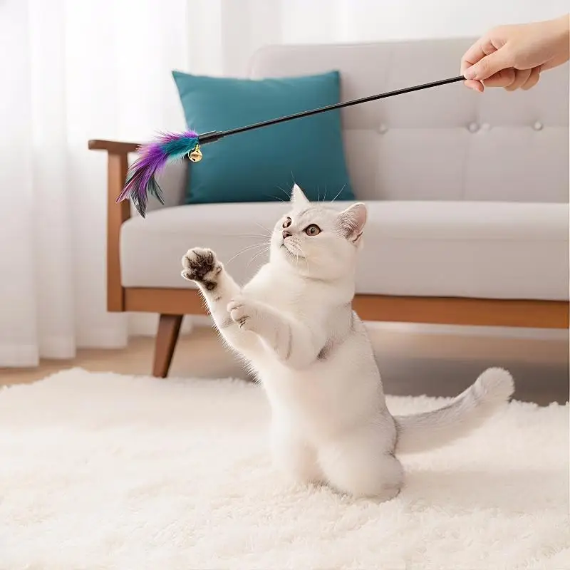 5pcs/set Cat Interactive Wand Colorful Chicken Cat Stick Bell Portable Creative Fashion Novelty Pet Cat Supplies
