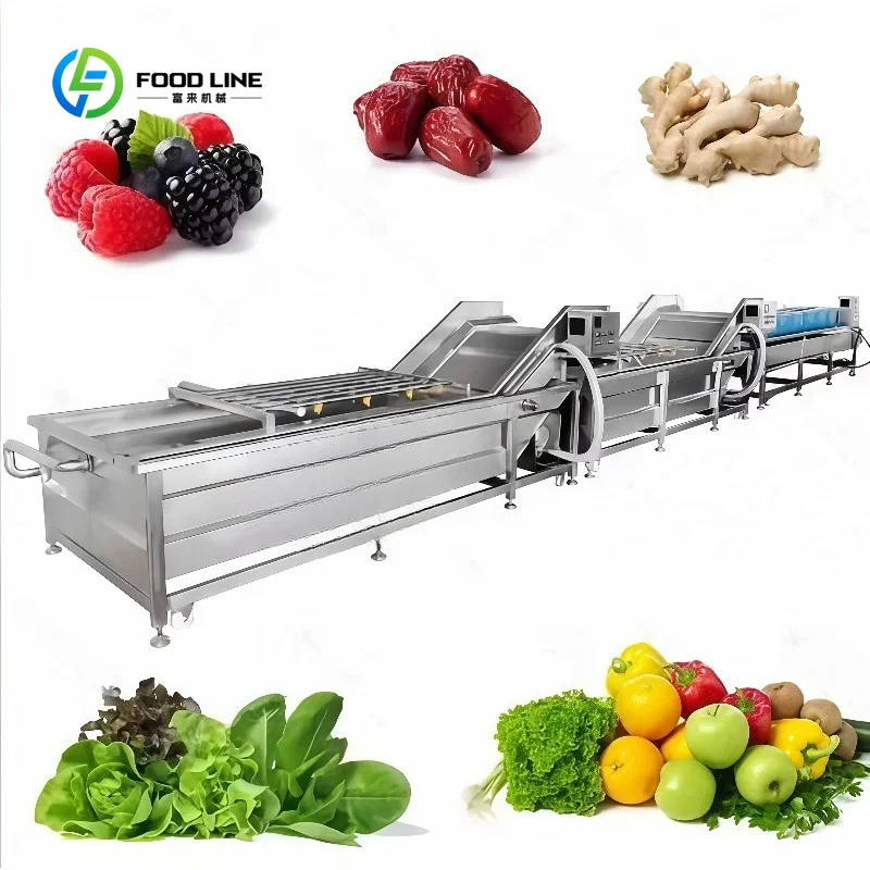 Customized Full Automatic Fruit & Vegetable Bubble Washing Cleaning Machine with Engine & Motor Stainless Steel 304 CE Certified
