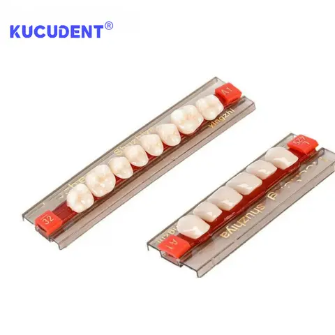 10 best sales protes tänder - №8