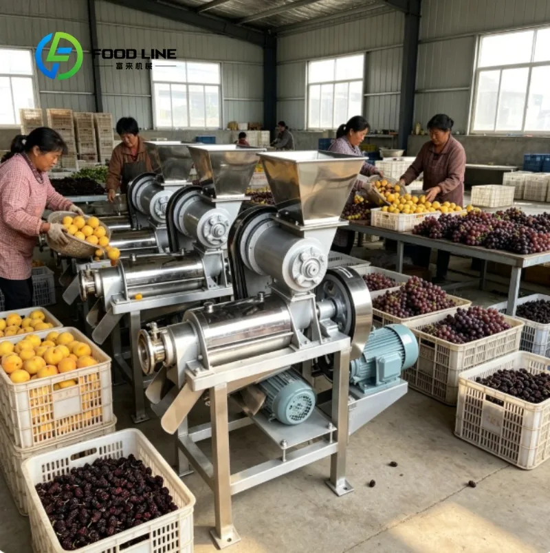 Commercial Juicer Machine Fruit Extractor Equipment for Juice Shop Restaurant and Cafe Use